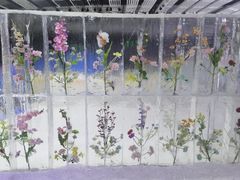 -宁波冰雪大世界(北仑区)