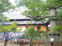 -普陀山风景名胜区-法雨禅寺