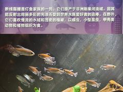 -上海海洋水族馆