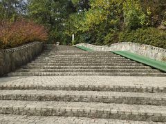-大塘金香草谷
