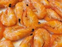 九节虾-九號渔港·蒸汽海鲜·粤菜茶点(八卦岭店)