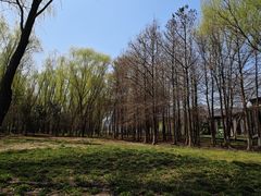 -长广溪湿地公园