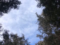 -北宫国家森林公园