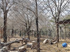 -青藏高原野生动物园