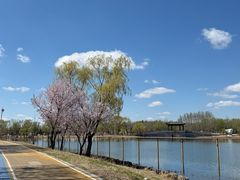 -长春北湖公园