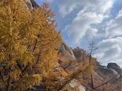 -崂山巨峰游览区