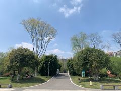 -洋湖国家湿地公园