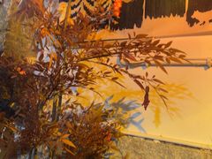 -大理文庙(大理古城)