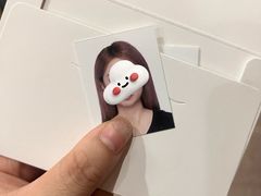-小树照相馆·证件照(打浦桥店)