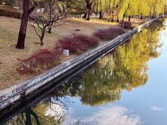 -元大都城垣遗址公园