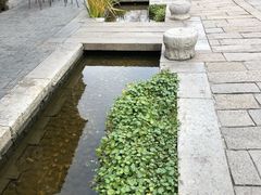 -品腐记·豆腐王朝(老门东总店)