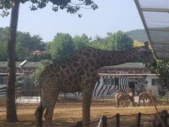 -大连森林动物园