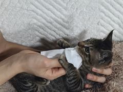 -瑞派康怡24h宠物医院·犬猫医疗中心·微创绝育(瑞景分院)