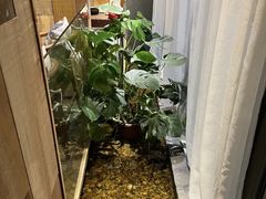 -邈墨茶馆(凤起路店)