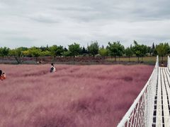 -嘉北郊野公园