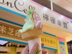 -柠檬车露(卖草地店)