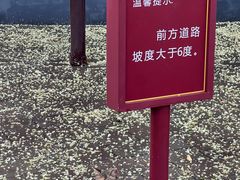-全牛匠·乐山跷脚牛肉(西北旺万象汇店)