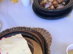 -鸽小宝(深圳首店)