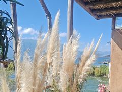 -六阅·福十 FORTEN 海景咖啡西餐厅(双廊古镇店)