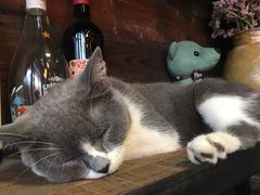 -MIKAKU(万达广场上海宝山店)