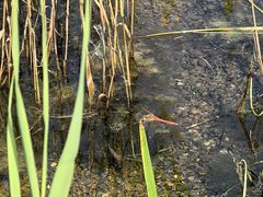 -永定河休闲森林公园