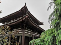 -法门文化景区