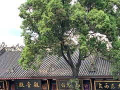 -古大圣慈寺