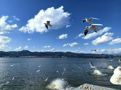 -海埂大坝