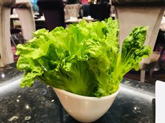 生菜-新兴·金羊座·粤菜点心(乐峰店)