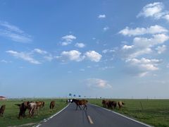 -呼和诺尔旅游景区