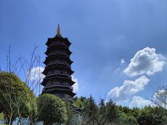 -重庆园博园