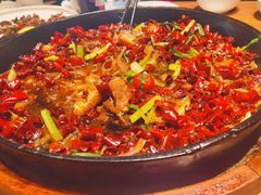 -老板恋上鱼(恒隆广场店)