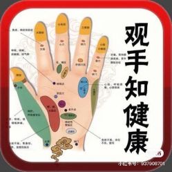 -香薇妮丝女子减肥院