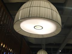 大堂-醉得意·山茶油炒土鸡(泰安万达店)