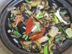 -云海肴·汽锅鸡·云南代表菜(天山百盛优客店)