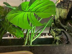 -船歌·鱼水饺青岛菜(恒隆广场店)