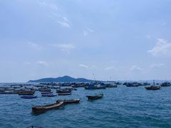 -海源公园
