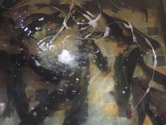 -缘福乡村铁锅炖民宿(八达岭店)