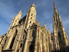 -斯蒂芬主教座堂(Stephansdom)