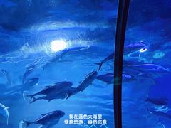 -邯郸海洋世界