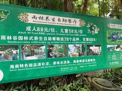 -呀诺达热带雨林