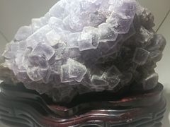 -安徽省地质博物馆
