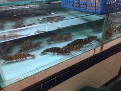 -班赞海鲜市场
