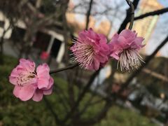 -鲁迅公园-垂钓中心