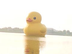 -深圳人才公园