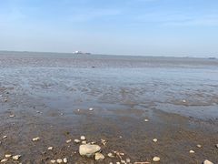 -上海吴淞炮台湾国家湿地公园