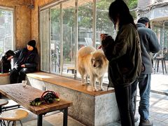 -来回·咖啡(天河南店)