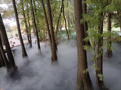 -东湖落雁景区
