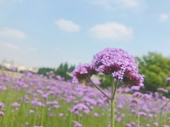 -杭州城北体育公园