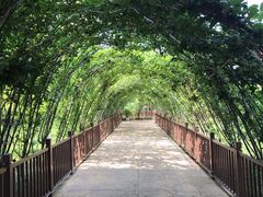 -芜湖方特东方神画